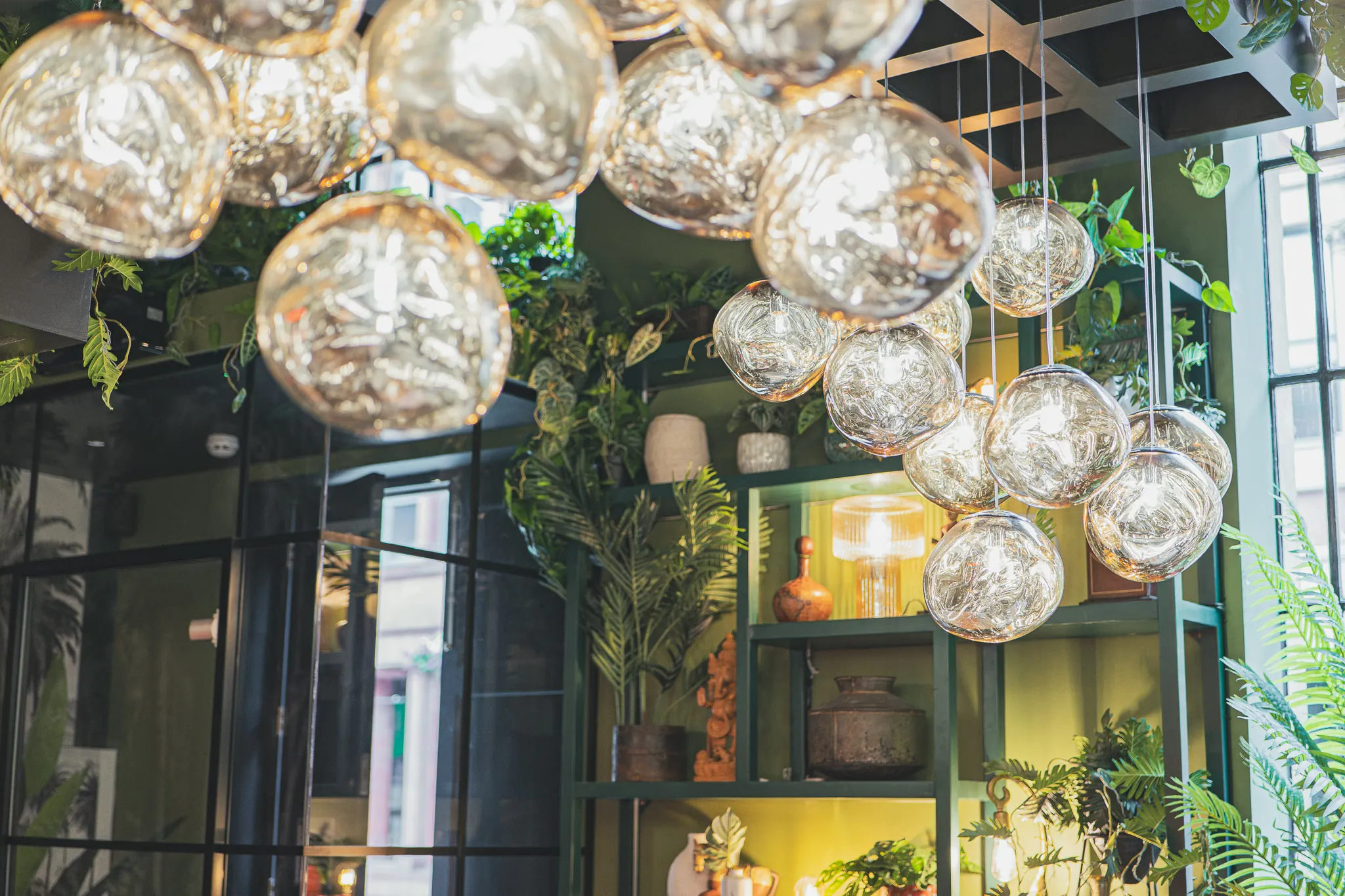Smoked-glass globe lamps hanging in front of lamplit shelves full of plants